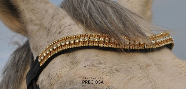 ADD SOME SPARKLE TO YOUR HORSE RIDING EQUIPMENT