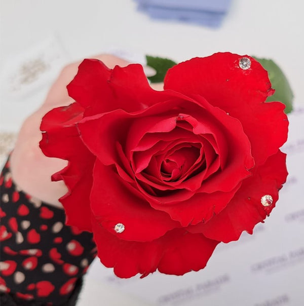 Give your roses that extra special touch of sparkle