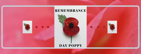 HOW TO CRYSTALLIZE A REMEMBRANCE DAY POPPY