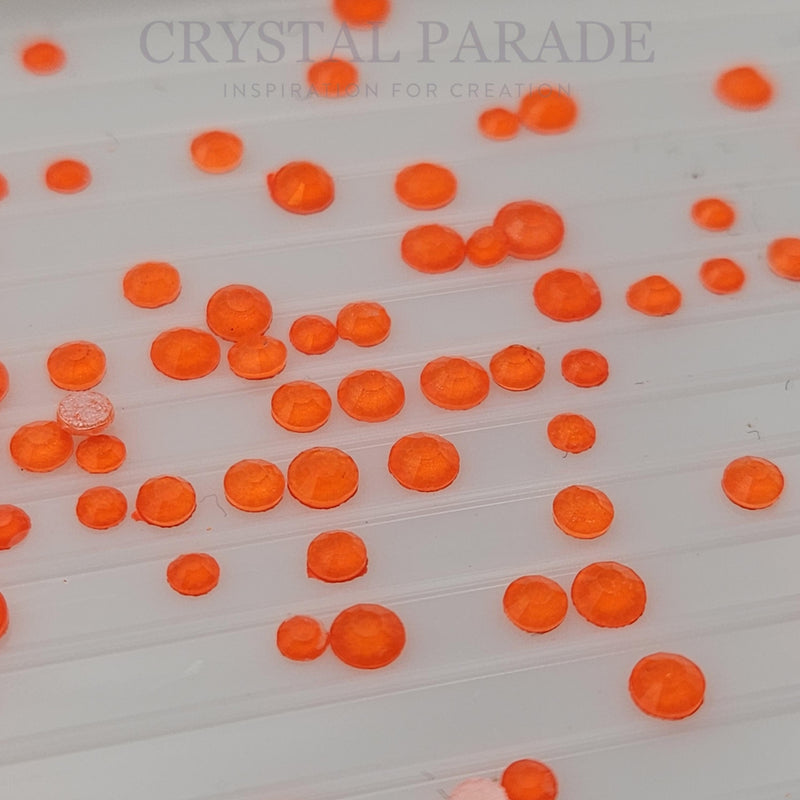 Limited Edition - Zodiac Crystal Neon Hyacinth Mixed Sizes - Pack of 100