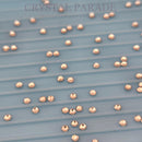 Blue Flipper Sorting Trays with FREE pack of crystals