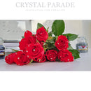 Zodiac Non Hotfix Crystals - Clear