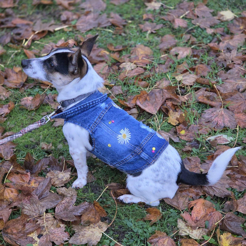 Pet Denim Jacket with Rhinestones