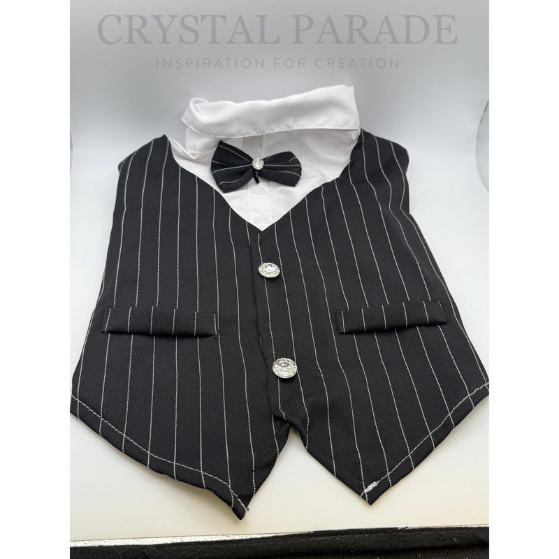 Pet Tuxedo with Crystal Buttons