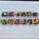 Mixed Brands Crystal Mix Pack of 100 - Autumn Glitter + FREE Leaves