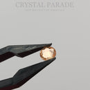 Luna Non Hotfix Rhinestones - Champagne