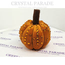 Zodiac Pumpkin Blinging Kit - 'Orrible Orange
