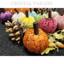 Zodiac Pumpkin Blinging Kit - 'Orrible Orange