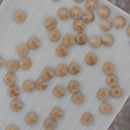 Luna Non Hotfix Rhinestones - Beige Shimmer