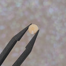Luna Non Hotfix Rhinestones - Beige Shimmer