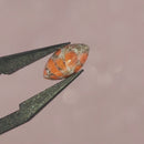 Preciosa Navette Cabochons - Marbled Coral (03298)