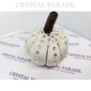 Zodiac Pumpkin Blinging Kit - Ghostly White