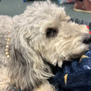 Preciosa Vintage Baroque Pearls - Cream