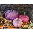 Hand Embellished Plush Pumpkins - Set of 3 - Rustic Pinks