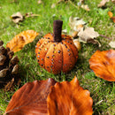 Luna Bedazzle Kit - Autumn
