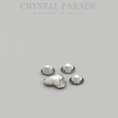 Crystal Parade Tooth Gem Kit - Swarovski Paw Print