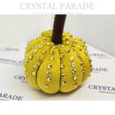 Zodiac Pumpkin Blinging Kit - Yucky Yellow