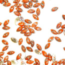 Preciosa Navette Cabochons - Marbled Coral (03298)
