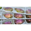 Zodiac Crystal Peardrop Sew on Stone - Vitrail Light