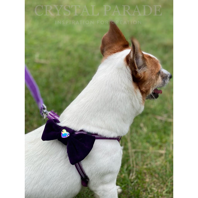 Velvet Dog Collar with Zodiac Crystal - Deep Purple