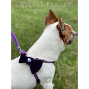 Velvet Dog Collar with Zodiac Crystal - Burnt Orange