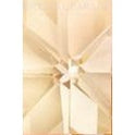 Coffin Chandelier Crystals - Clarite